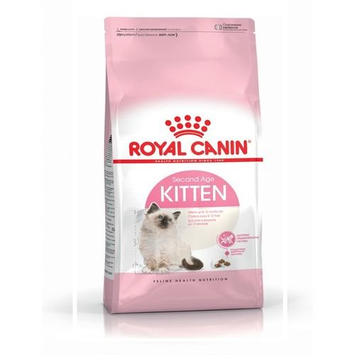 SECOND-AGE-KITTEN-2-Kg